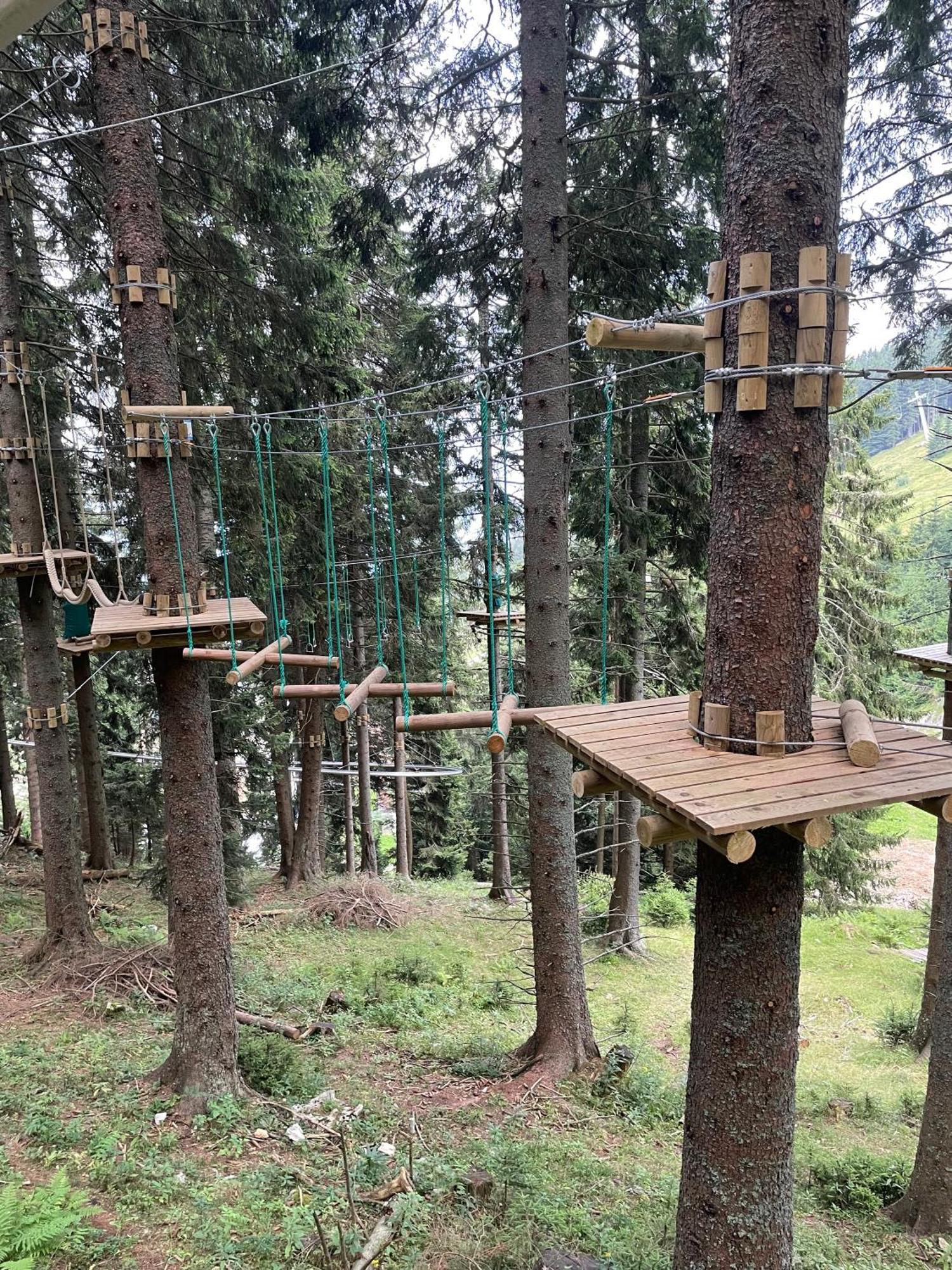 Apartmaji Golob-Golte Mozirje Dış mekan fotoğraf